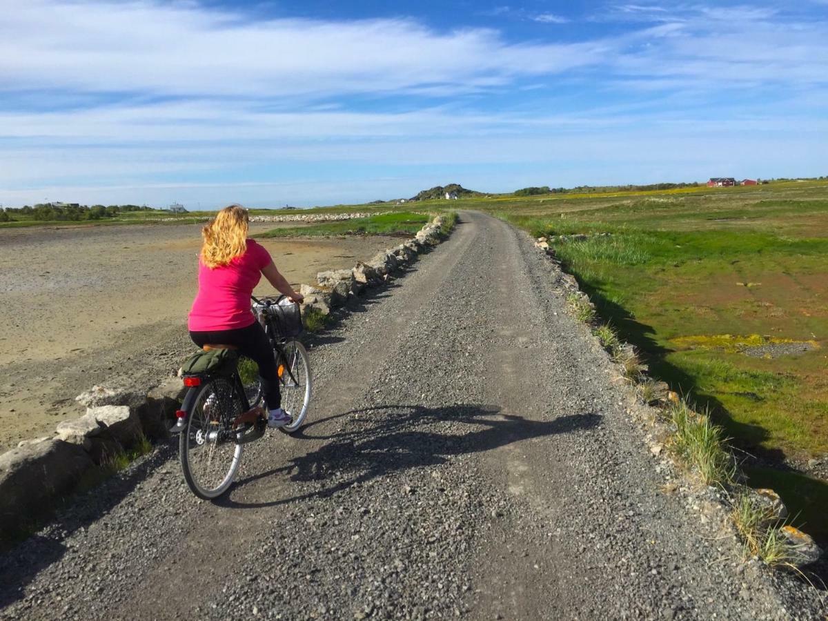 Elstad Farm Lofoten Bostad ภายนอก รูปภาพ